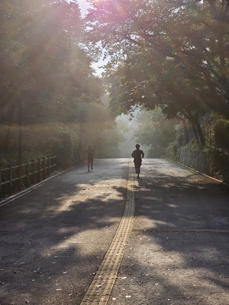 banner for 러닝크루가 미운 건, 러닝 때문이 아닐지도