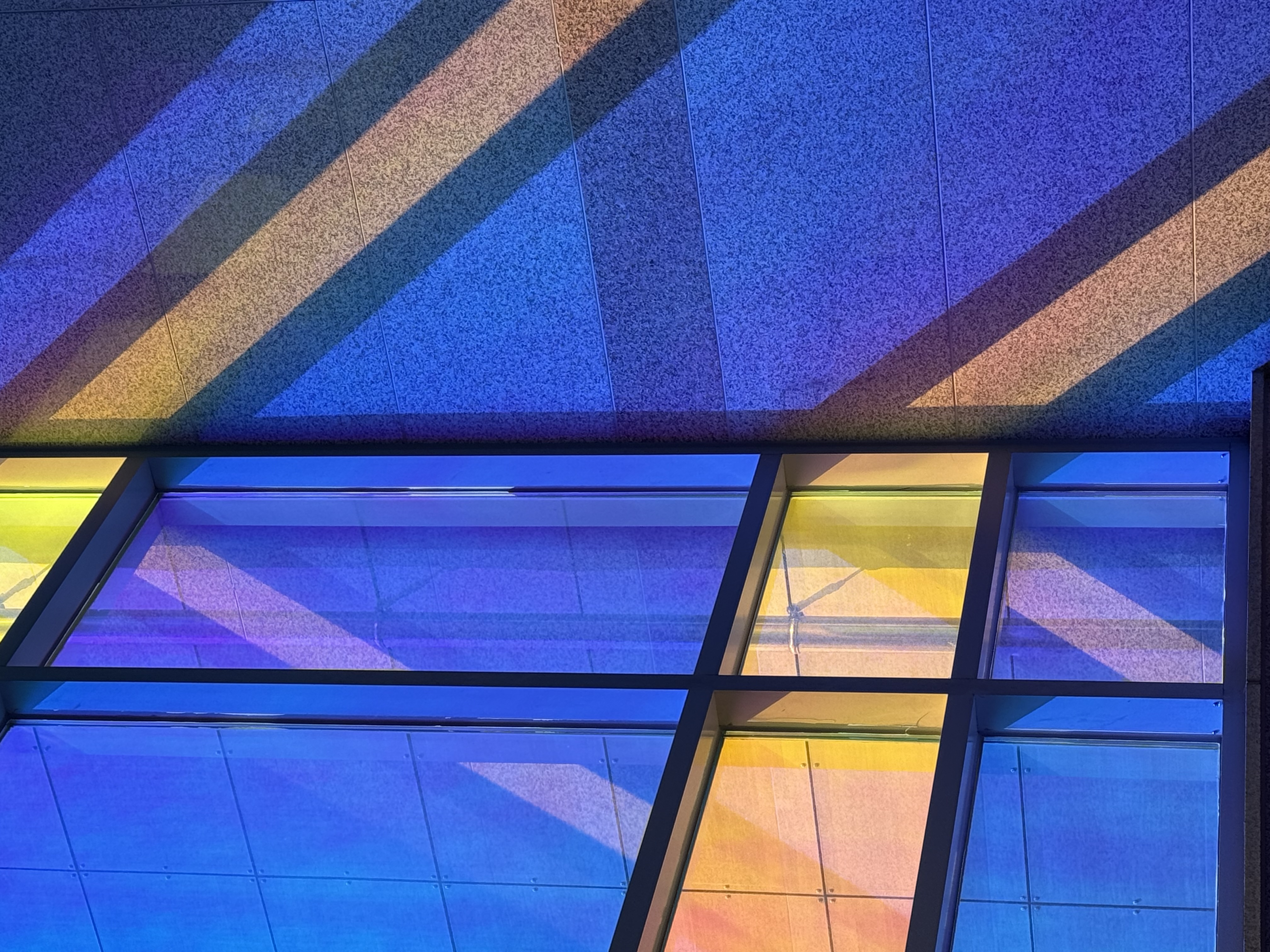 banner for 달리기가 인생을 구원해주진 않는다