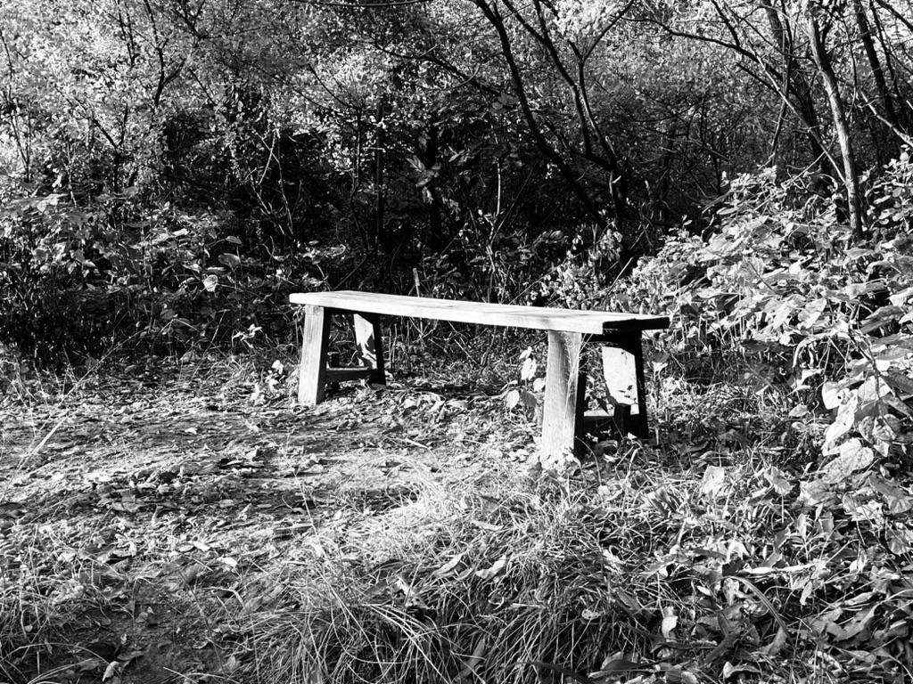 banner for 2023년의 시작