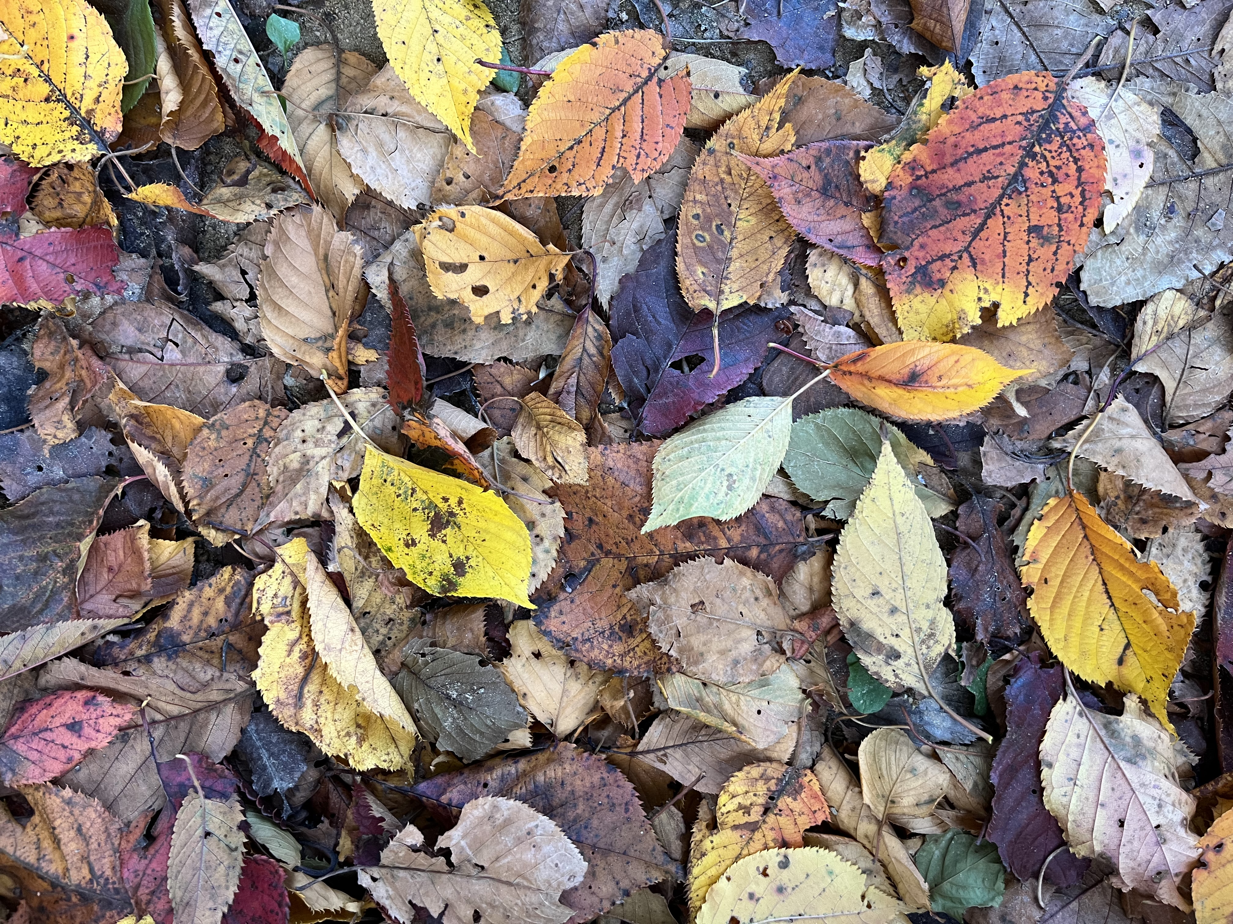 banner for 동일성에 갇힌 우리 사회